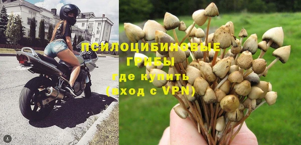 спайс Сафоново