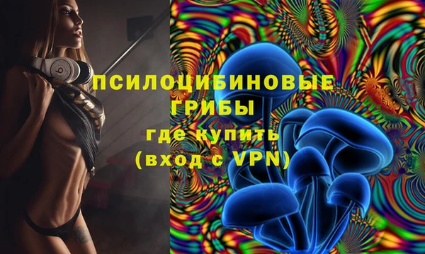амф Козловка