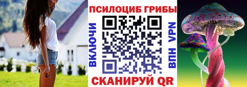 гидра ссылки  Кузнецк  Галлюциногенные грибы Cubensis 